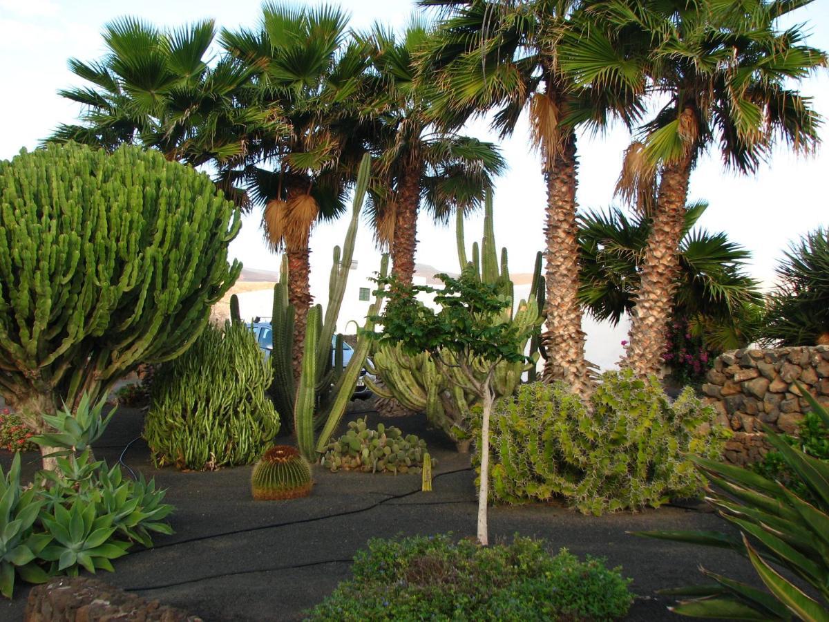 Appartement Casa Ti - Botanica *